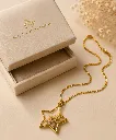 Handcrafted Dried Flower Star Resin Pendant Necklace 9.webp