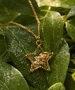 Handcrafted Dried Flower Star Resin Pendant Necklace 7.webp
